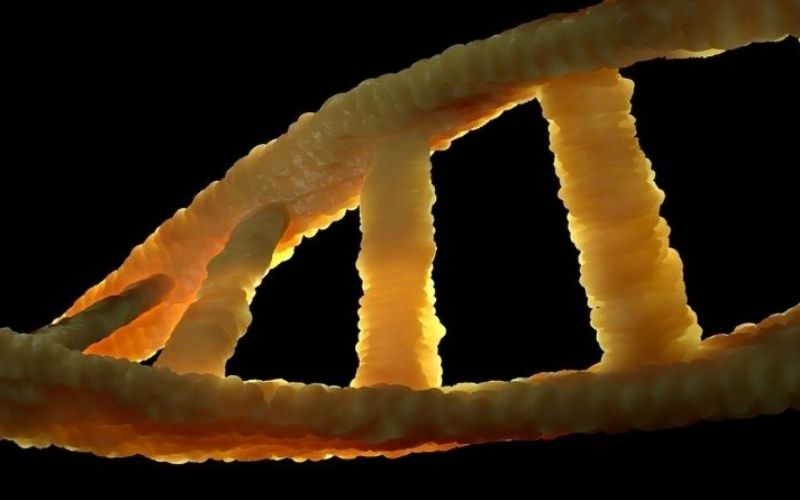 Epigenetika: az önkiteljesítés tudománya