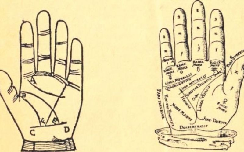 Tenyérjóslás – A kéz