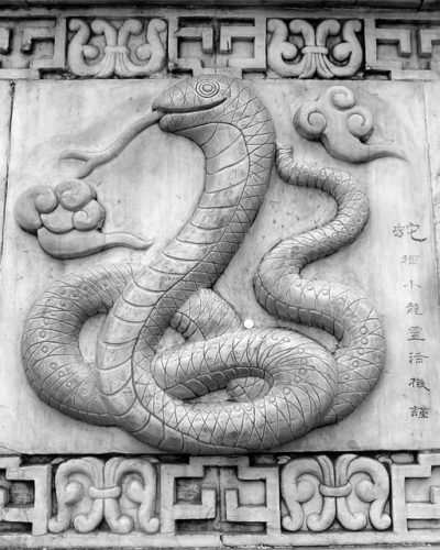 kínai horoszkóp kígyó