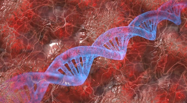 A tudósok befejezték az emberi genom feltérképezését